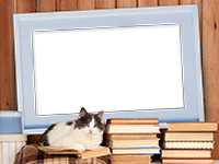 Frames: Cats Pack