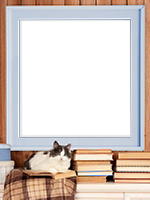 Frames: Cats Pack