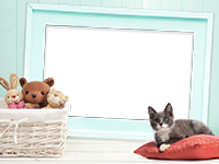 Frames: Cats Pack