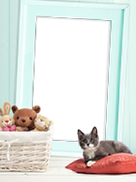 Frames: Cats Pack