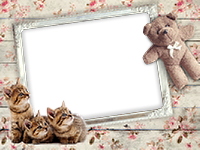 Frames: Cats Pack