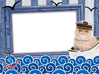 Frames: Cats Pack