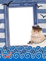 Frames: Cats Pack