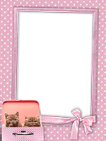 Frames: Cats Pack