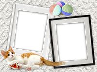 Frames: Cats Pack