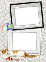Frames: Cats Pack