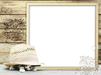 Frames: Cats Pack