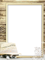 Frames: Cats Pack