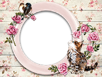 Frames: Cats Pack