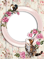 Frames: Cats Pack