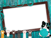 Frames: Cats Pack