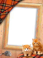 Frames: Cats Pack