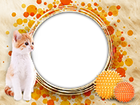 Frames: Cats Pack