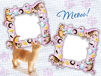 Frames: Cats Pack