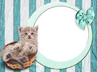 Frames: Cats Pack