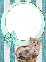 Frames: Cats Pack