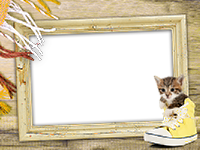 Frames: Cats Pack