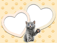 Frames: Cats Pack