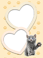 Frames: Cats Pack