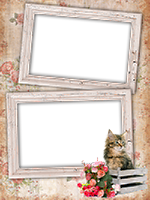 Frames: Cats Pack