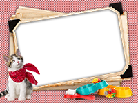 Frames: Cats Pack