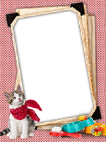 Frames: Cats Pack