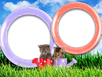 Frames: Cats Pack