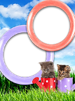 Frames: Cats Pack