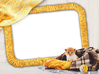 Frames: Cats Pack