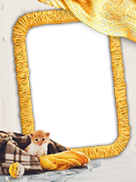 Frames: Cats Pack