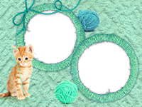 Frames: Cats Pack
