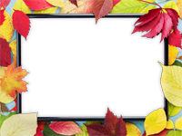 Cadres: Feuilles d'automne