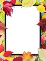 Cadres: Feuilles d'automne