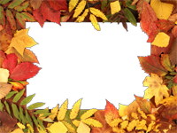 Cadres: Feuilles d'automne