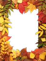 Cadres: Feuilles d'automne