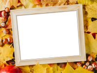Cadres: Feuilles d'automne