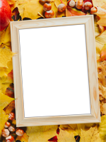 Cadres: Feuilles d'automne