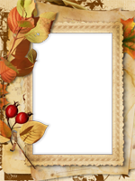 Cadres: Feuilles d'automne