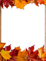 Cadres: Feuilles d'automne
