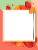 Cadres: Feuilles d'automne