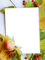Cadres: Feuilles d'automne