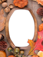 Cadres: Feuilles d'automne