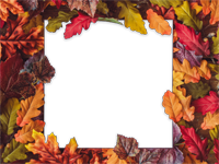 Cadres: Feuilles d'automne