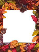 Cadres: Feuilles d'automne