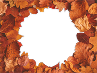 Cadres: Feuilles d'automne