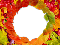 Cadres: Feuilles d'automne
