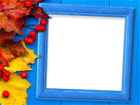 Cadres: Feuilles d'automne