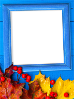 Cadres: Feuilles d'automne