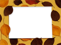 Cadres: Feuilles d'automne
