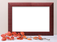 Cadres: Feuilles d'automne